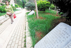 昆明 歷史 綠化