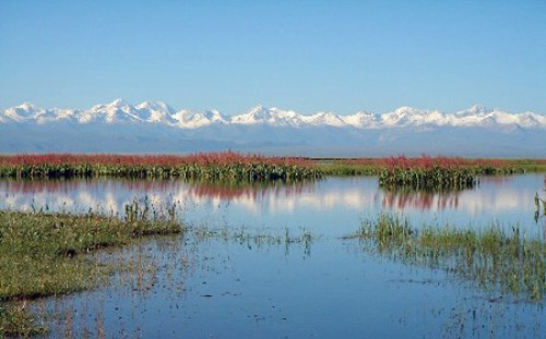 濕地 最美濕地 十大濕地 濕地景觀
