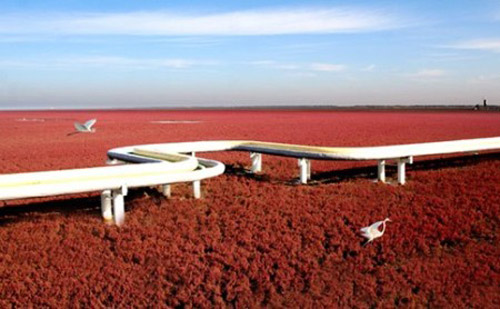 濕地 最美濕地 十大濕地 濕地景觀