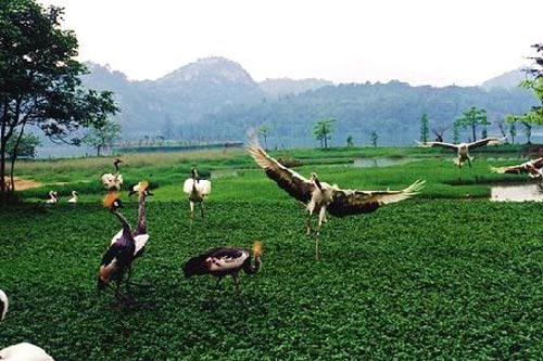 濕地 最美濕地 十大濕地 濕地景觀