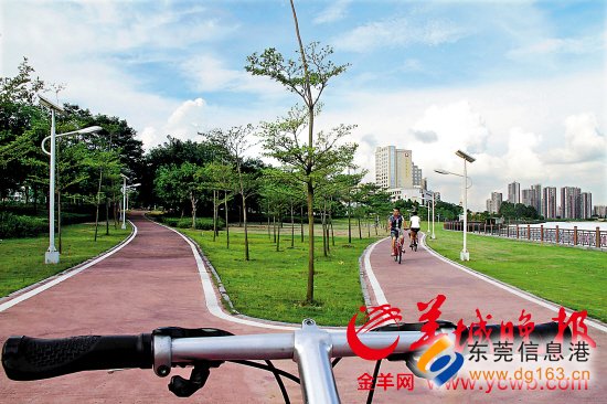 廣東 綠道 養護