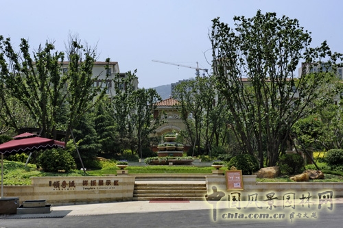 天開園林 魯能領(lǐng)秀城 景觀工程