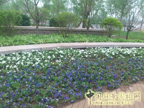 北京園博會 青島園 青島園規劃 規劃設計