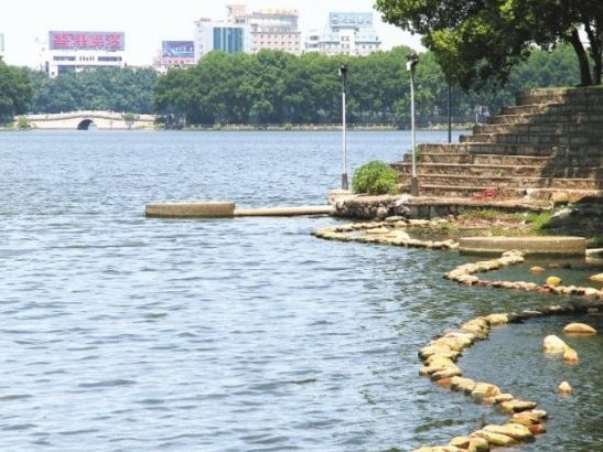 九江 景觀(guān) 水生植物