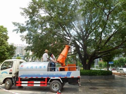 梧州對綠化樹木進(jìn)行復(fù)壯