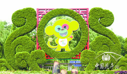 花卉 景觀 亞青會