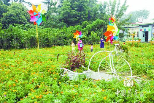 公園 鄭州 草花