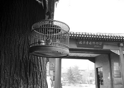 名人故居 文物保護(hù) 故居保護(hù) 宋慶齡故居