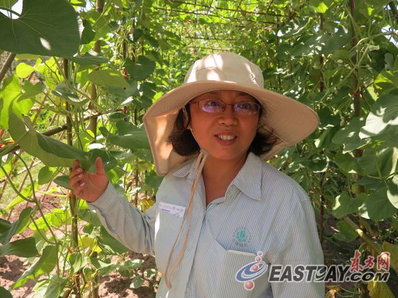 上海植物園高級園藝工程師吳偉