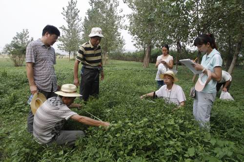 濕地管理 生物多樣性 三門峽 自然保護區