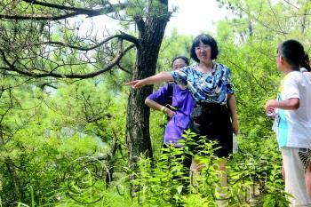青島 瀕危植物 景區