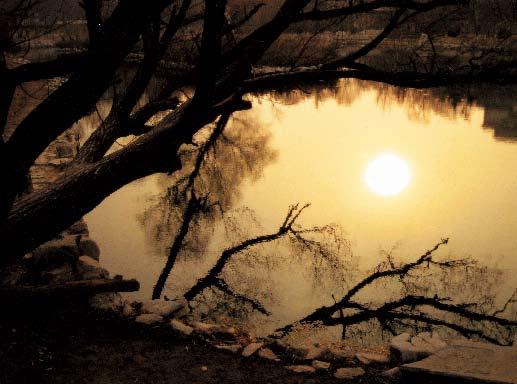 劉秀晨 綠色的云 城市規(guī)劃 風(fēng)景園林 城市建設(shè) 中國(guó)風(fēng)景園林網(wǎng)