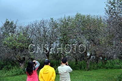 伊犁那拉提干旱區植物園