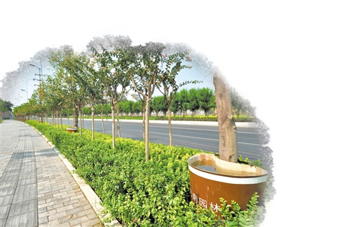 巴南：自研“神器”確保園林植物滋潤度夏