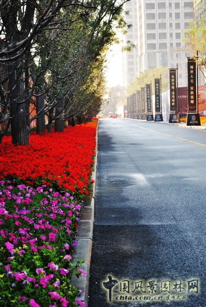 住宅景觀獎(jiǎng) 恒大華府 景觀設(shè)計(jì) 山水比德 中國風(fēng)景園林網(wǎng)