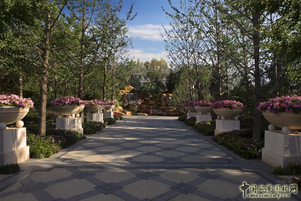 源樹景觀 林語(yǔ)墅 園冶杯 住宅景觀獎(jiǎng)