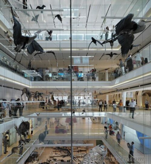 意大利繆斯博物館