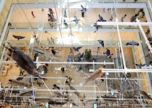 意大利繆斯博物館