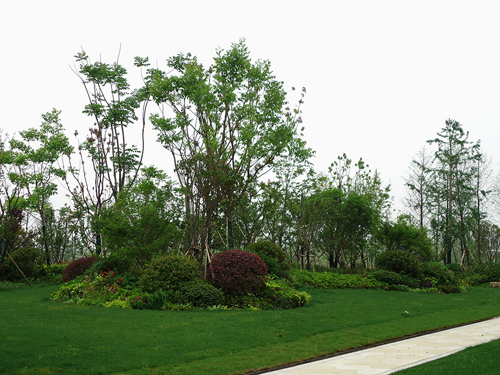 景觀工程 景觀精品 杭州園林