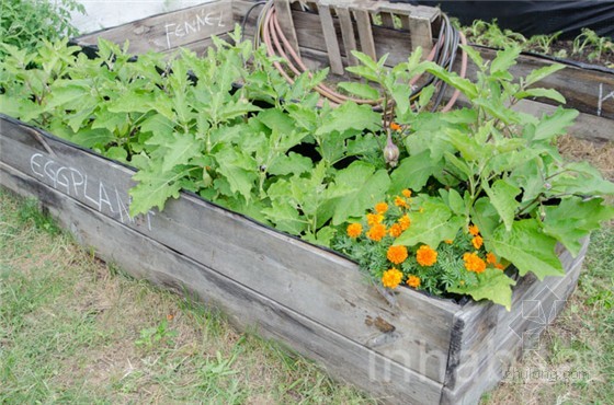 南布魯克林兒童花園