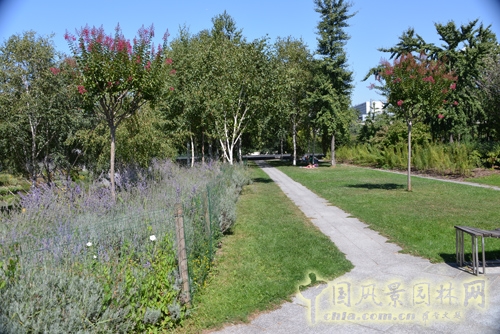 雪鐵龍公園 傳統(tǒng)園林 法國(guó)景觀