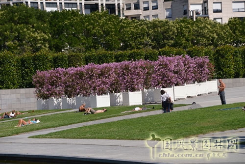 雪鐵龍公園 傳統(tǒng)園林 法國(guó)景觀