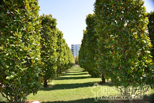 雪鐵龍公園 傳統(tǒng)園林 法國(guó)景觀
