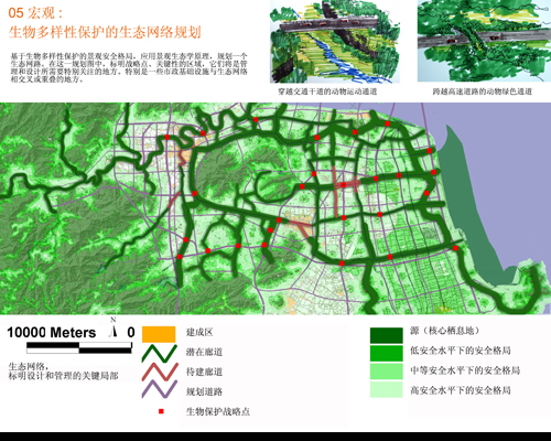 反規(guī)劃 生態(tài)基礎(chǔ) 城市空間 城市規(guī)劃 臺(tái)州