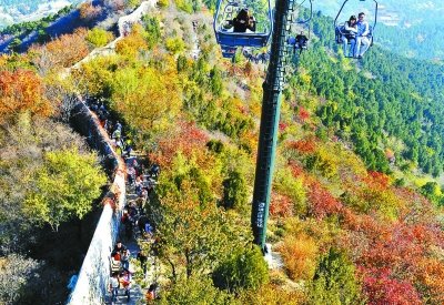 香山紅葉 紅葉不紅 最佳觀賞期 香山公園