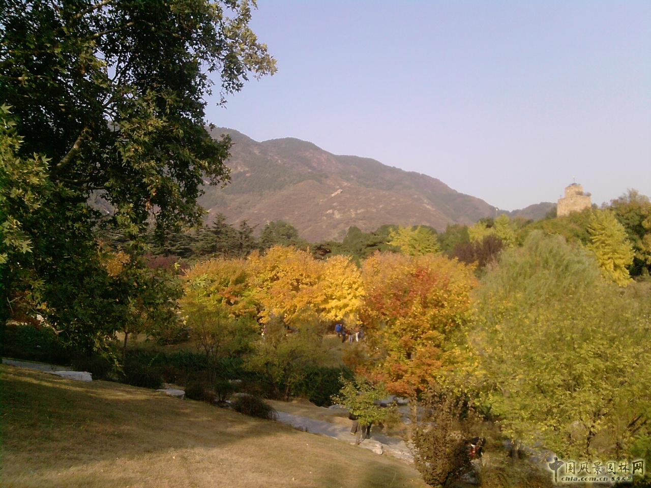 香山紅葉 秋游植物園 萬葉戀歌 植物園