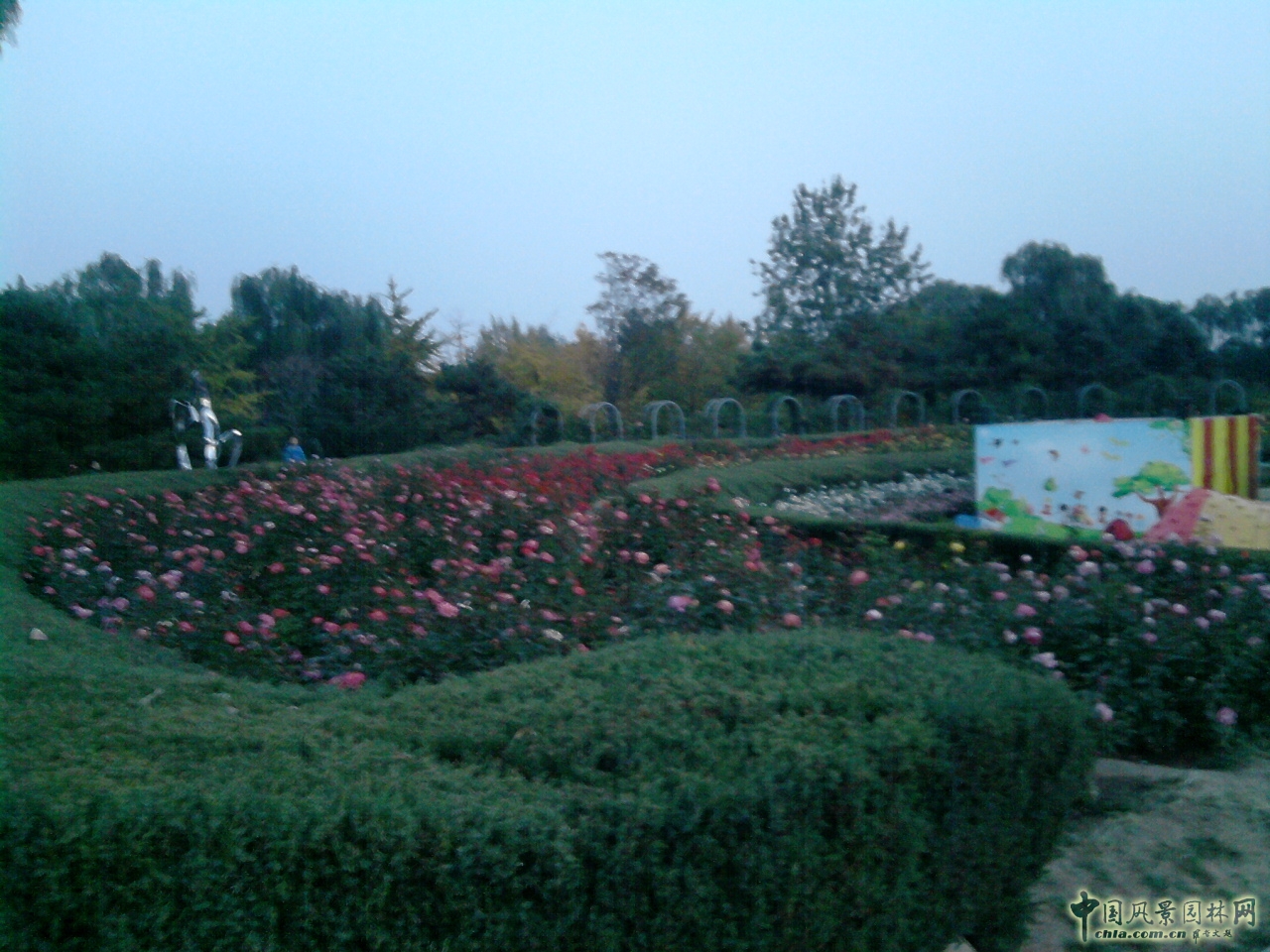 香山紅葉 秋游植物園 萬葉戀歌 植物園 紅楓