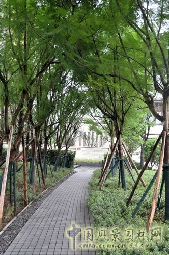 住宅景觀獎(jiǎng) 園林工程 重慶星耀天地會(huì)所示范區(qū)