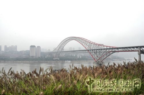 住宅景觀獎 園林工程 重慶星耀天地會所示范區(qū)