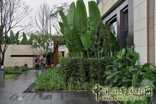 住宅景觀獎 園林工程 重慶星耀天地會所示范區(qū)