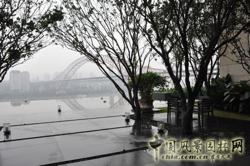 住宅景觀獎 園林工程 重慶星耀天地會所示范區