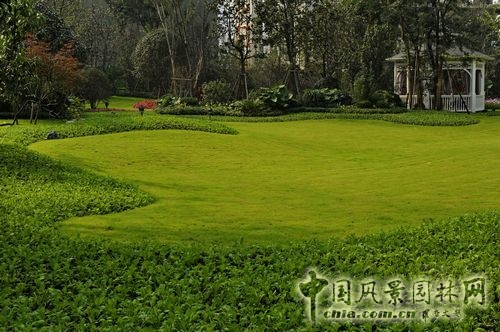 住宅景觀獎(jiǎng) 園林景觀 成都世貿(mào) 成都世貿(mào)猛追灣項(xiàng)目