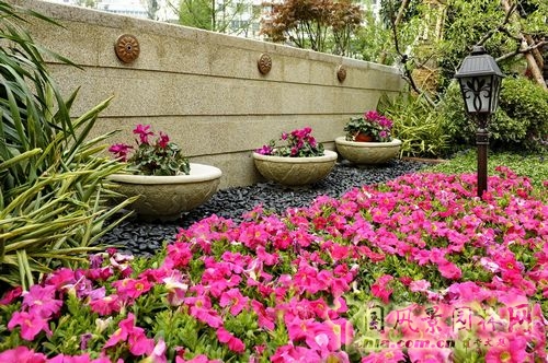 住宅景觀獎 園林景觀 成都世貿 成都世貿猛追灣項目