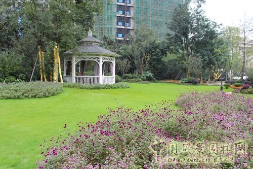 住宅景觀獎(jiǎng) 園林景觀 成都世貿(mào) 成都世貿(mào)猛追灣項(xiàng)目