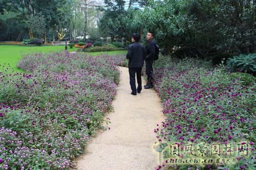 住宅景觀獎(jiǎng) 園林景觀 成都世貿(mào) 成都世貿(mào)猛追灣項(xiàng)目