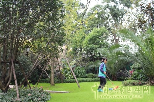 住宅景觀獎 園林景觀 成都世貿 成都世貿猛追灣項目