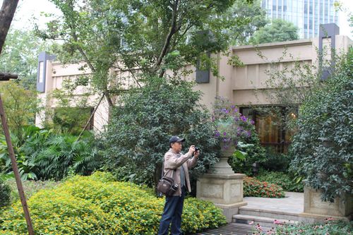 住宅景觀獎 園林景觀 成都世貿 成都世貿猛追灣項目  小區入口