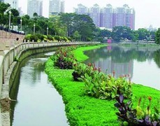 水生態(tài)設(shè)計