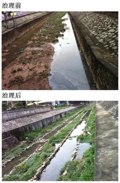 河道生態治理