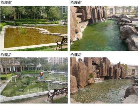 城市景觀生態治理