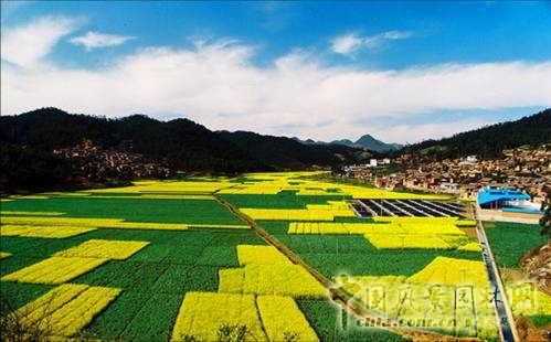 風景園林闡釋自然觀的技藝