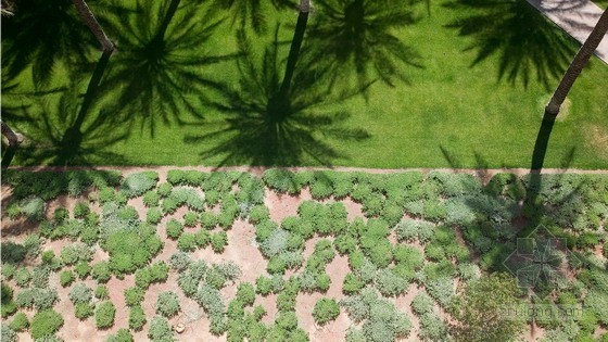 SWA設計的美國亞利桑那州鳳凰城