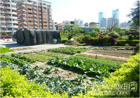 王曉璘 生態(tài)社區(qū) 城鄉(xiāng)改造 在地理論 環(huán)境保護(hù)