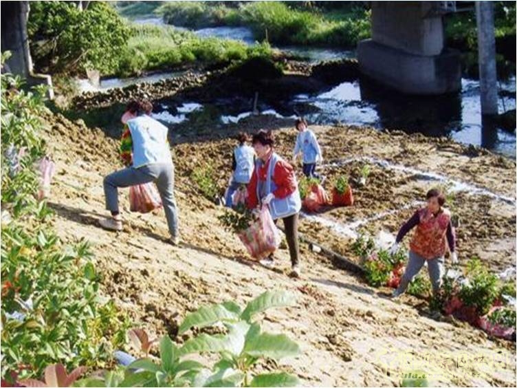王曉璘 生態(tài)社區(qū) 在地理論 災(zāi)后重建 臺灣社區(qū)