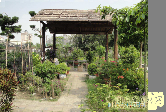 王曉璘 生態社區 在地理論 災后重建 臺灣社區