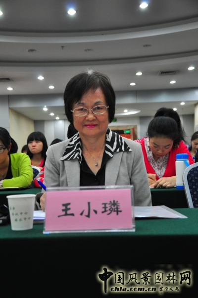 王曉璘 生態社區 在地理論 災后重建 臺灣社區